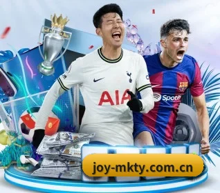 快速发展 - 业务规模迅速扩张,合作伙伴遍布全球,用户数量突破500万大关。